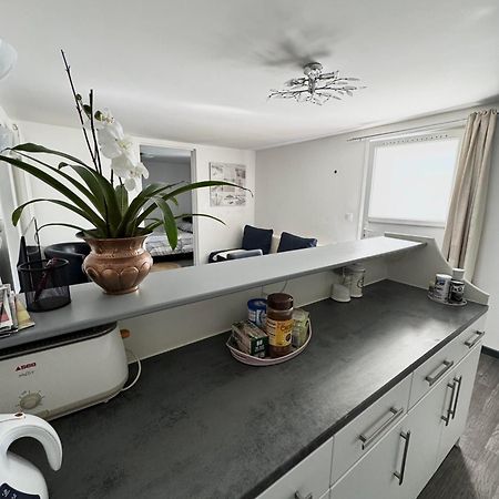 Appartement Detox Au Pied Du Semnoz Seynod Dış mekan fotoğraf