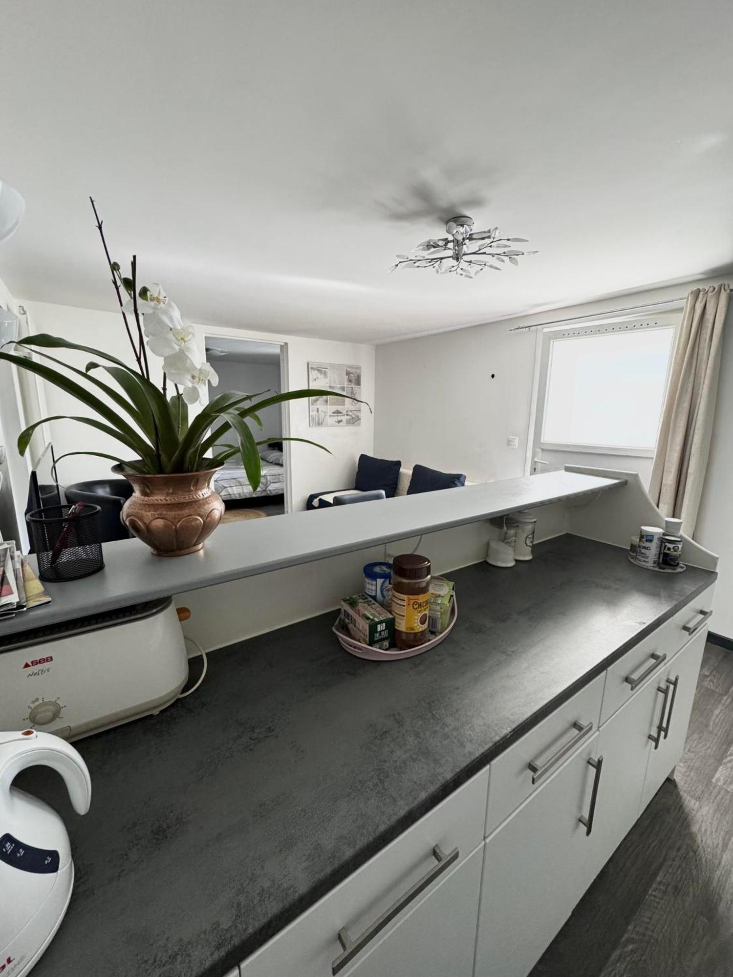 Appartement Detox Au Pied Du Semnoz Seynod Dış mekan fotoğraf